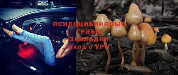 амфетамин Алексеевка