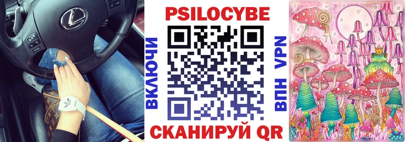 мега как войти  Заволжск  Галлюциногенные грибы Psilocybe 